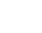 Burger icon